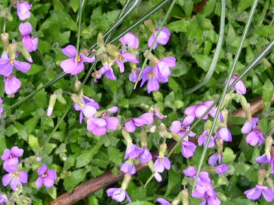 PICT0246.JPG