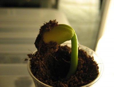 4 ganz neu hinten.JPG