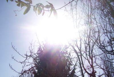 Makro 021m.jpg