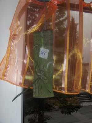 Pflanzen 080.jpg