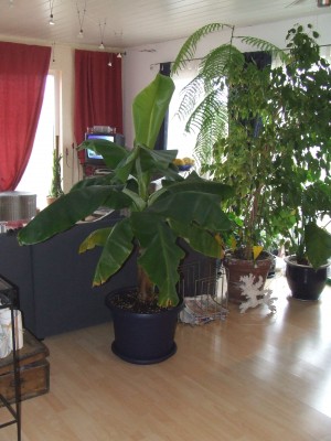 DSCF3174.jpg