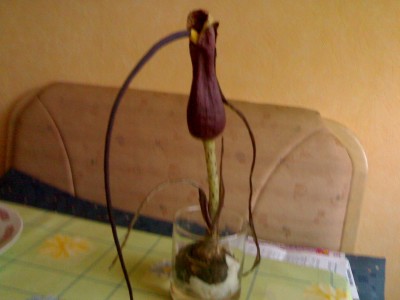 24022008370.jpg