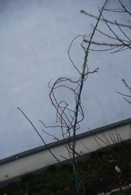 DSC_0003.jpeg