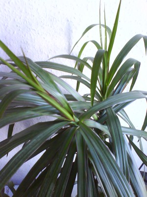 Bild 009.jpg