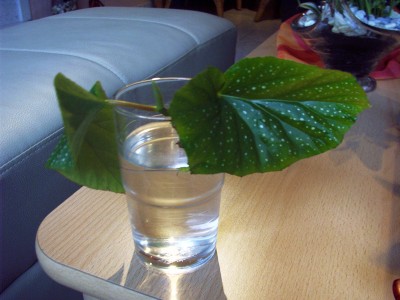 IMAG0003.JPG
