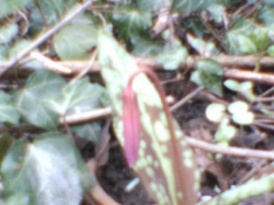 03.jpg