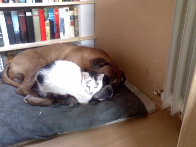 P11-10-07_09.09.jpg