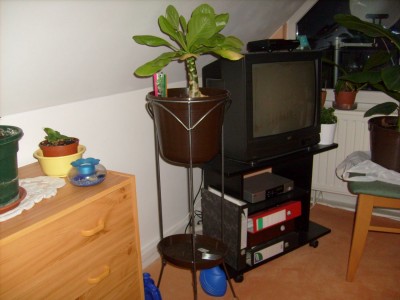 S7300161.JPG