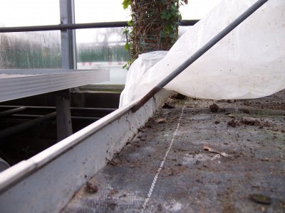Tisch Vermehrung.jpg