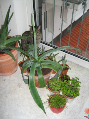 IMG_3791.jpg
