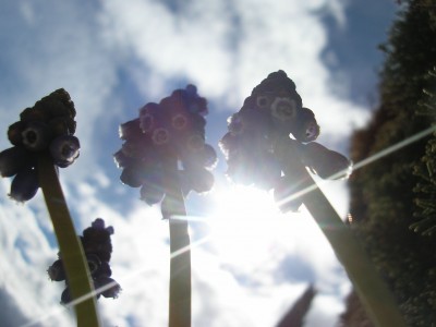 P1010245.jpg
