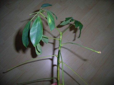 RIMG0543.JPG