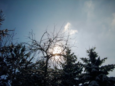 DSCI0020.JPG