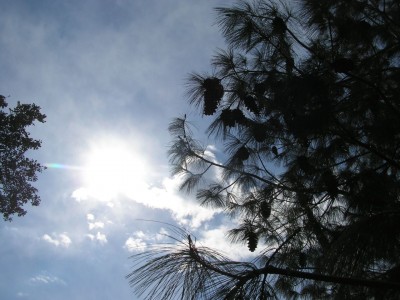 P1010106.jpg