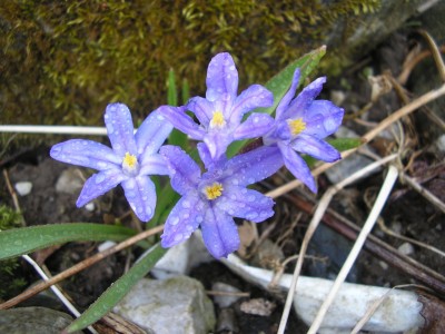 P1010058.jpg
