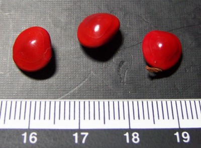 100_3403a.jpg