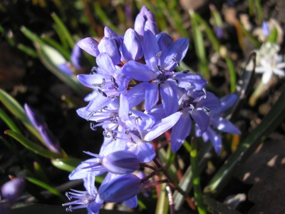 P1010156.jpg