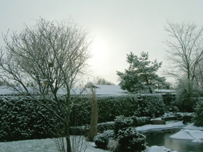 Winterhimmel.jpg