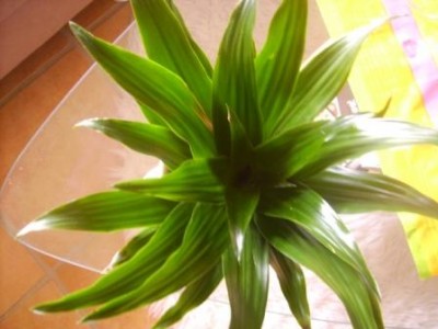PICT0307.JPG