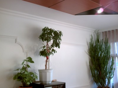 PICT0002.JPG