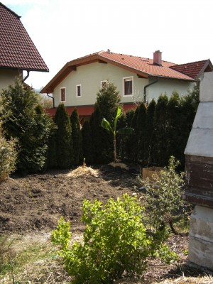 BILD0049.JPG