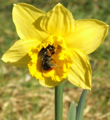DSCF1938.JPG