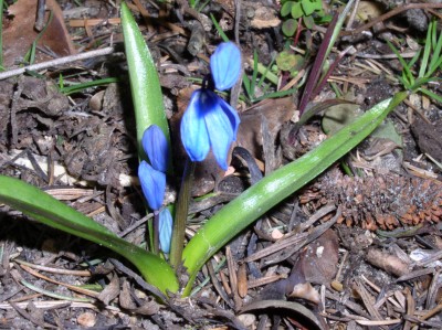 P1010025.JPG
