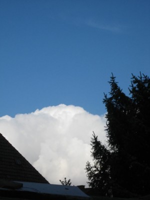 Img_1645.jpg