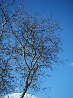 Karwe_Ostern_014_800x1065.jpg
