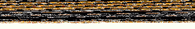 logo.gif