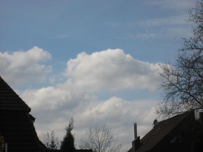 Img_1570.jpg