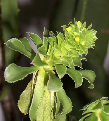 03.04.2008 19-38-42_0006.jpg