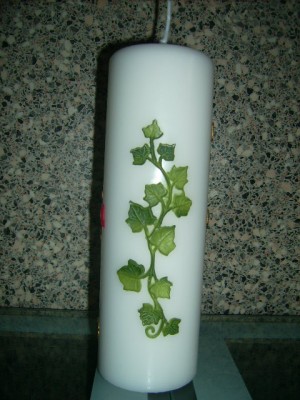 Pflanzen 003.jpg
