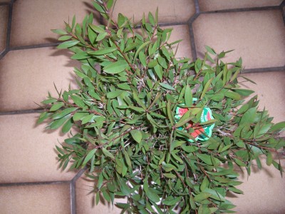 CIMG2643 - Kopie.JPG