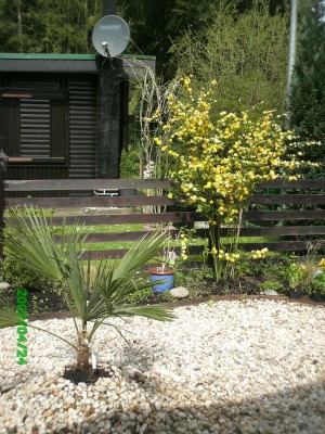 23.04.2007 007.jpg