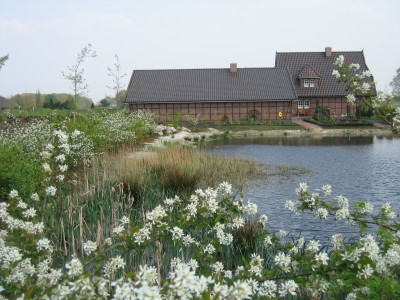 Blütenbilder teil 1 003.jpg