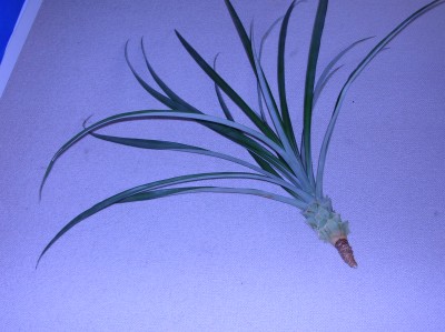 DSCN1890.JPG