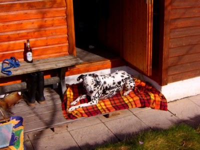 Garten 100207 002a.jpg