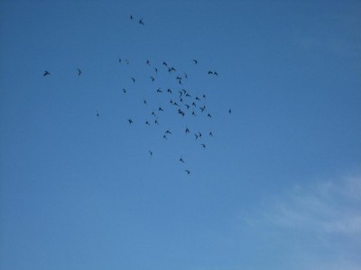 Img_1745.jpg