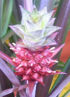 Bild 089g.jpg