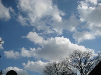 Img_1606.jpg
