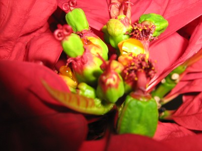 2008-04-09 012.jpg