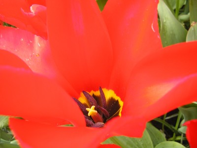 P1010278.JPG