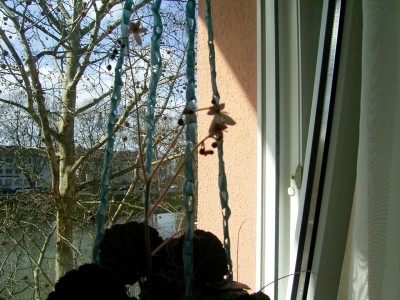 RIMG0163.JPG
