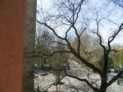 RIMG0182.JPG