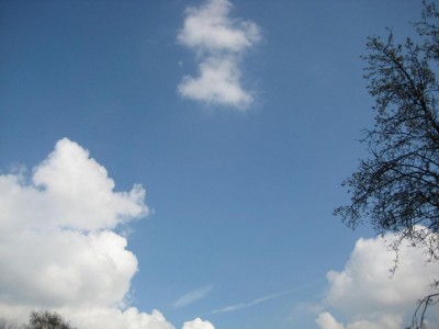 Img_1780.jpg