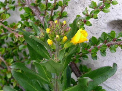 PICT0673.JPG