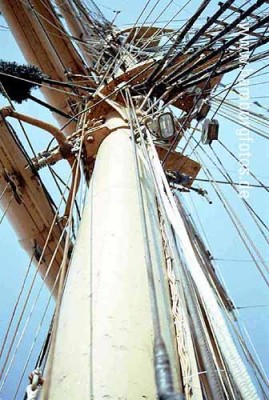 Mast.jpg