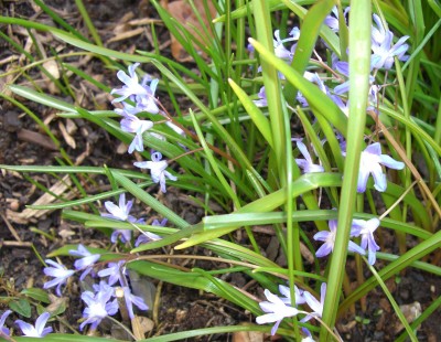 CIMG2704 - Kopie.JPG