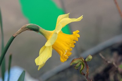 bild6.jpg